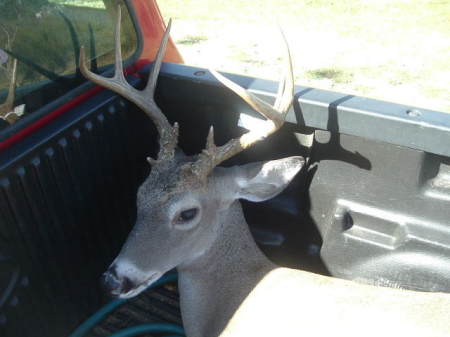 Hubby's Buck 2007