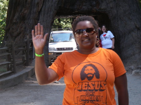 Hi from Drive-Thru Tree Giant Redwoods