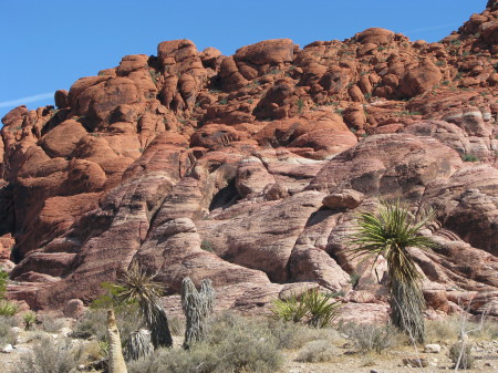 Red Rock Canyon Las Vegas, NV