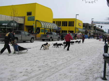 Iditarod