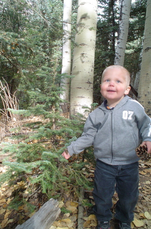 Ryan in the Forest