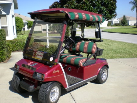 Village Golf Cart