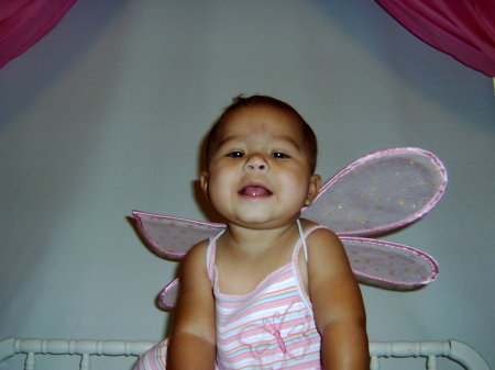 my little butterfly