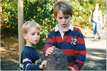 Termite Mound