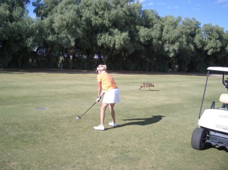 Golfing in Death Valley