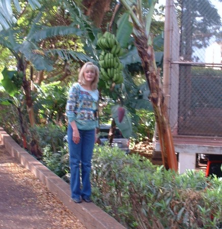 Me and a banana tree on a street corner!