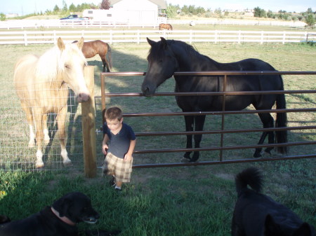 Grandson Tom and my crew