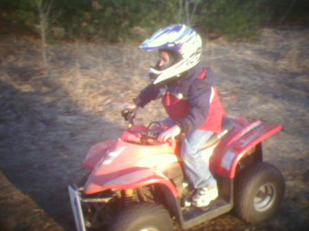 dom 4 wheelin