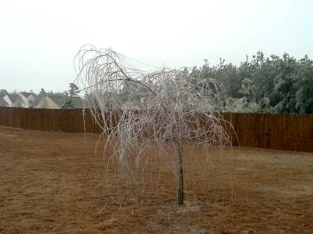 First freezing rain