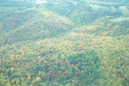 Blue Ridge Parkway