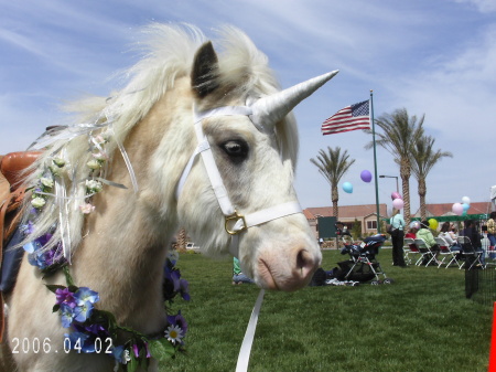 unicorn pony