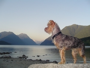 spike at alouette lake