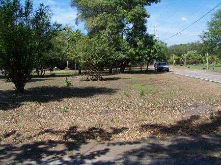 My property in Central America