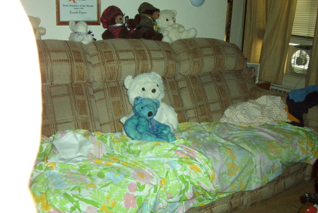 One of my Teddy Bears