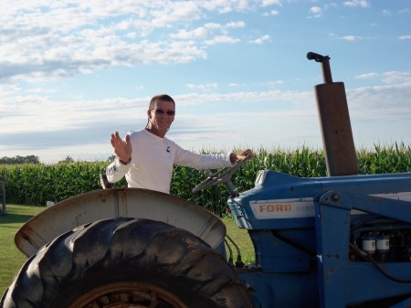 Harvest time  the farm