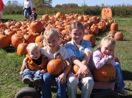 Pumpkin Farm 2006