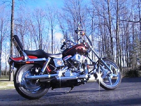 My '94 Harley Dyna Wide Glide