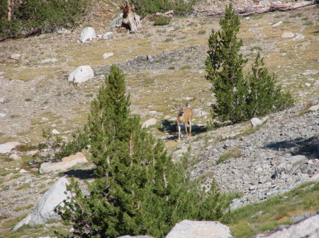 Hiking behind Saddleback lake