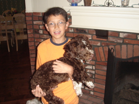My Godson and his birthday dog, Brownie