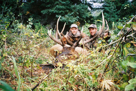 Greg Osburn's bull Idaho '05