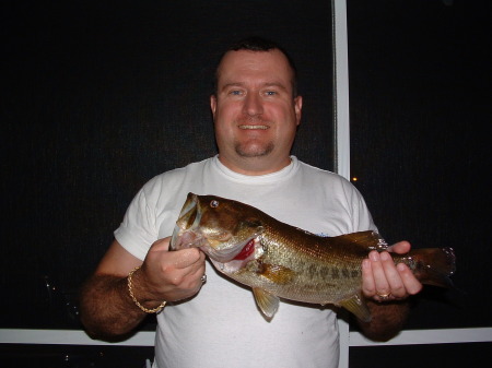 Florida Large Mouth Bass