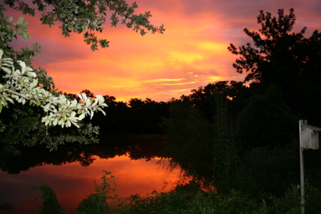 August Sunset