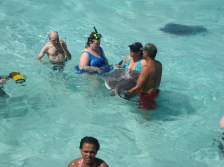 Grand Cayman Stingray Experience