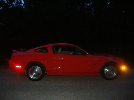 My Stang