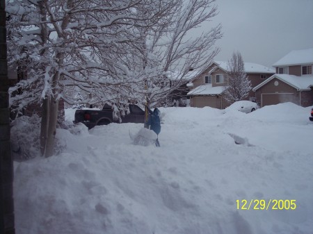Winter in Littleton, Colorado 2007