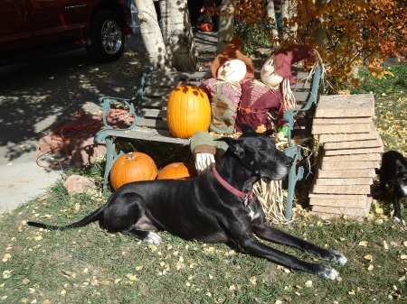 Zilla the Halloween Guard