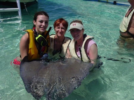 Stingray