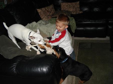 Cayden, Tucker & Gunther