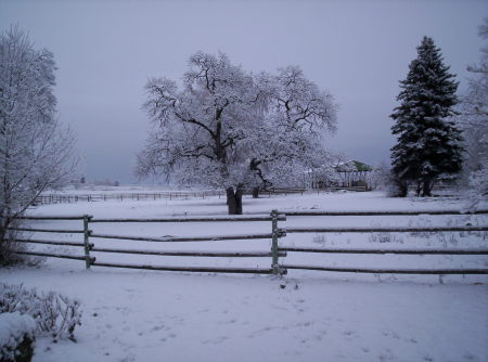 washington state winter'07