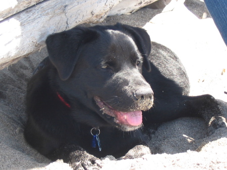 At the Beach