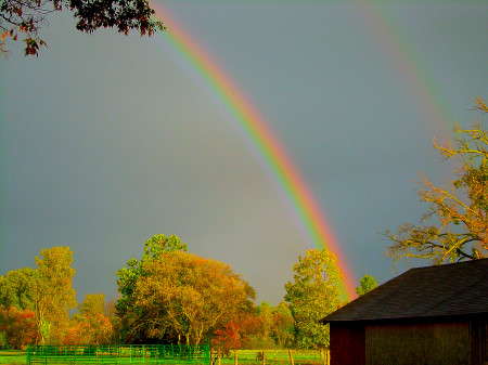 Rainbow at the farm