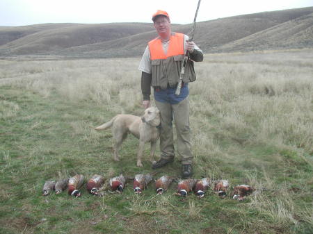Pheasant Hunting - Oregon