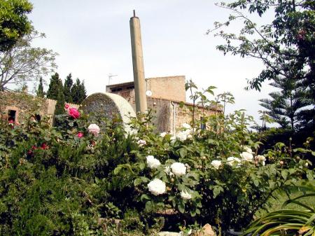 Another view of the garden