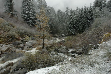First Snowfall, October, 2006.