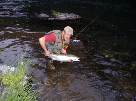 N. Umpqua Steelhead