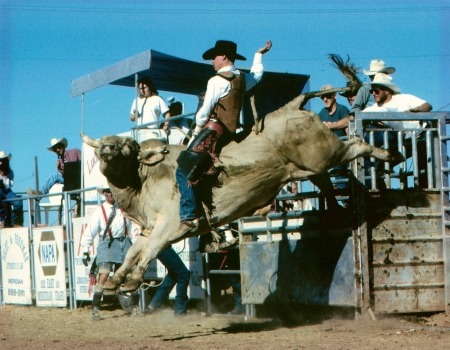 Bull Riding