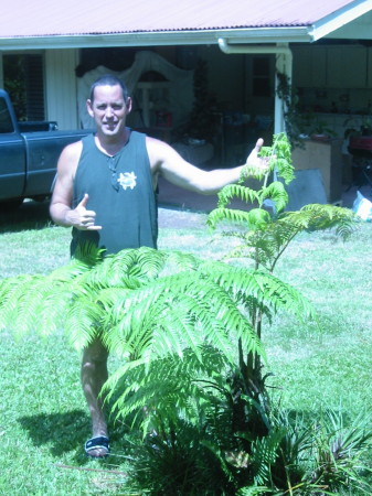 I'm so proud of my tree-fern!