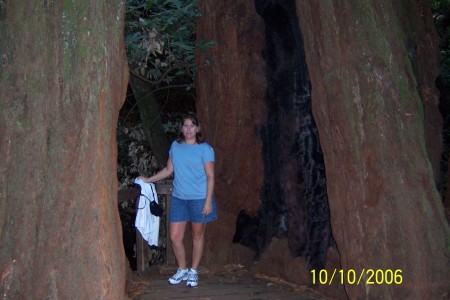 Me at Muir Woods in California