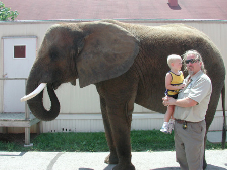 Meeting an Elephant