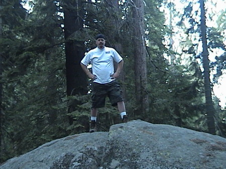 Off trail in Sequoia National Park