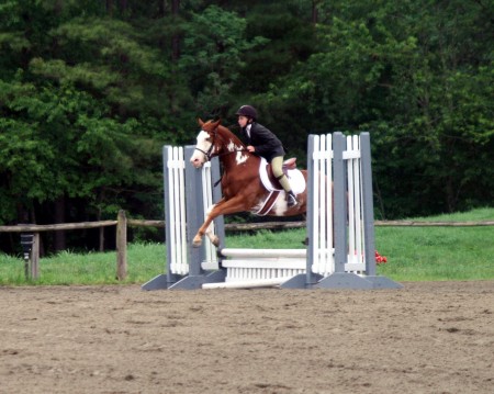 Devon and Coo Jumping