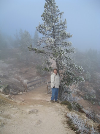 Yellowstone National Park