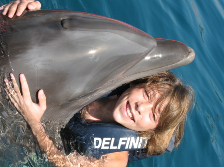 Swimming with dolphins