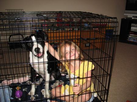 Chloe and Boots in crate