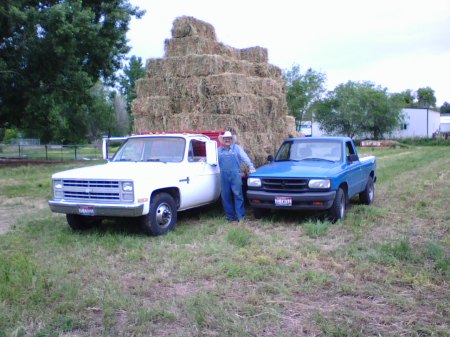 Truck loaded with hay