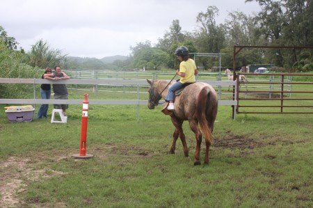 Horse riding in Waimanalo